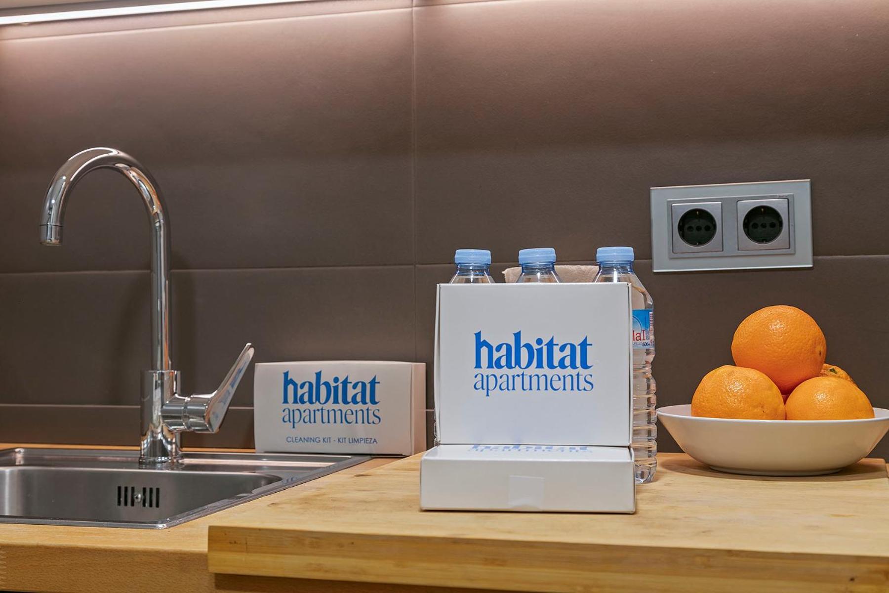 Habitat Pau Apartament *